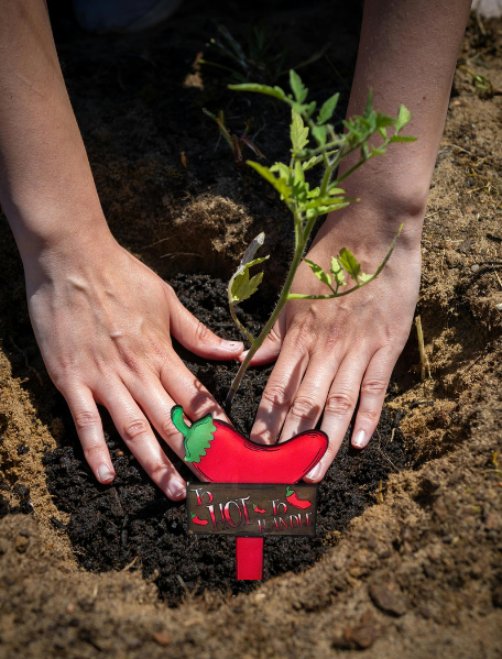 Acrylic-Hot Pepper Shaped Sublimated Plant Stake