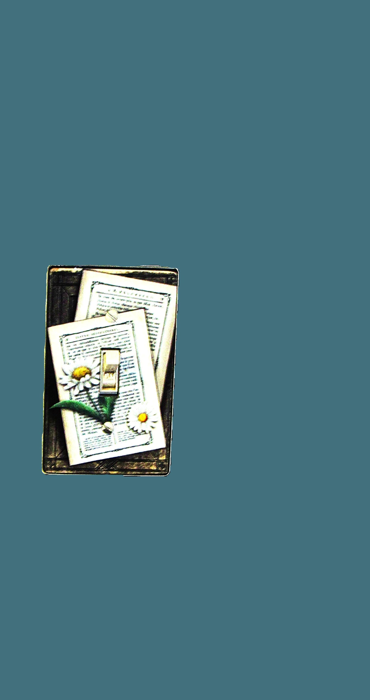 Standard Shaped Sublimated Light Switch Plate