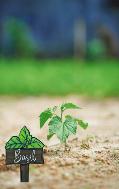 Acrylic-Basil with Sign Shaped Sublimated Plant Stake