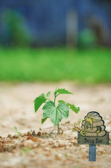 Acrylic-Bee Hive with Sign Shaped Sublimated Plant Stake