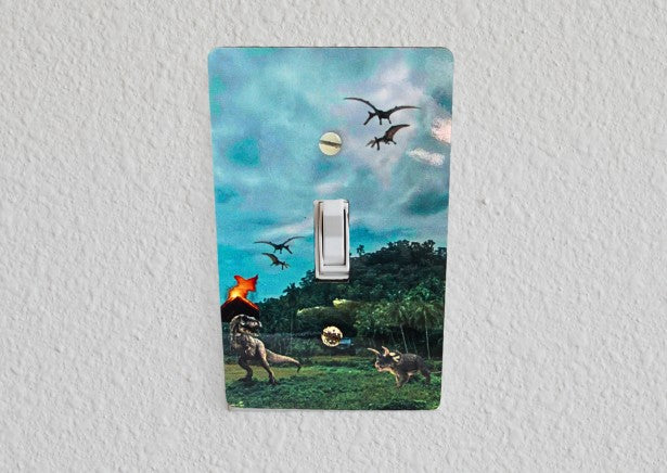 Standard Shaped Sublimated Light Switch Plate