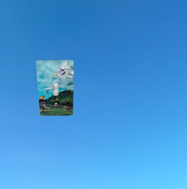 Standard Shaped Sublimated Light Switch Plate