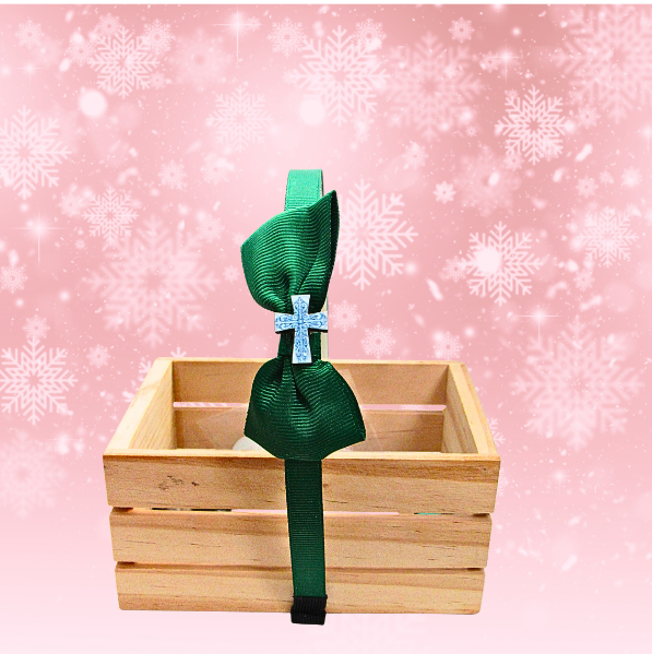 Girls Plastic Headband with MDF Shaped Center