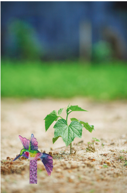 Acrylic-Hummingbird Shaped Sublimated Plant Stake