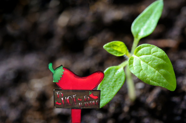 Acrylic-Hot Pepper Shaped Sublimated Plant Stake