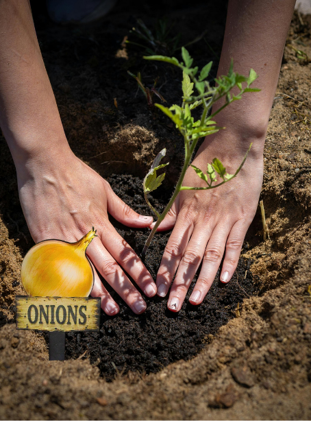 Acrylic- Onion Shaped Sublimated Plant Stake