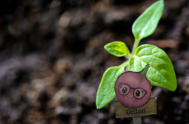 Acrylic- Onion Shaped Sublimated Plant Stake