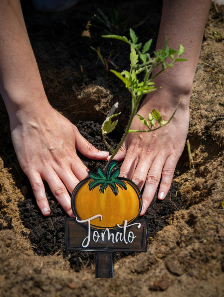 Acrylic-Tomato Shaped Sublimated Plant Stake