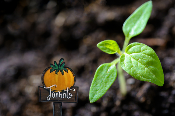 Acrylic-Tomato Shaped Sublimated Plant Stake