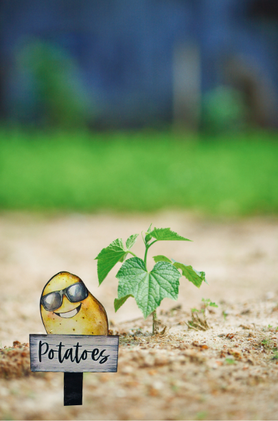 Acrylic-Potato Shaped Sublimated Plant Stake