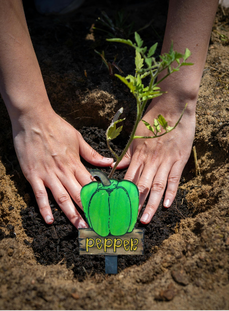 Acrylic-Pepper Shaped Sublimated Plant Stake
