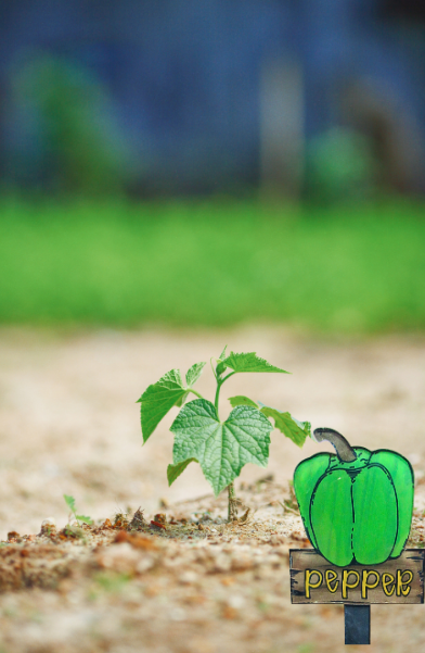 Acrylic-Pepper Shaped Sublimated Plant Stake