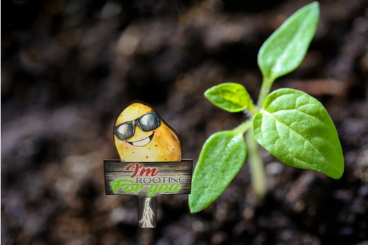Acrylic-Potato Shaped Sublimated Plant Stake