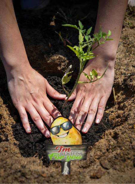Acrylic-Potato Shaped Sublimated Plant Stake