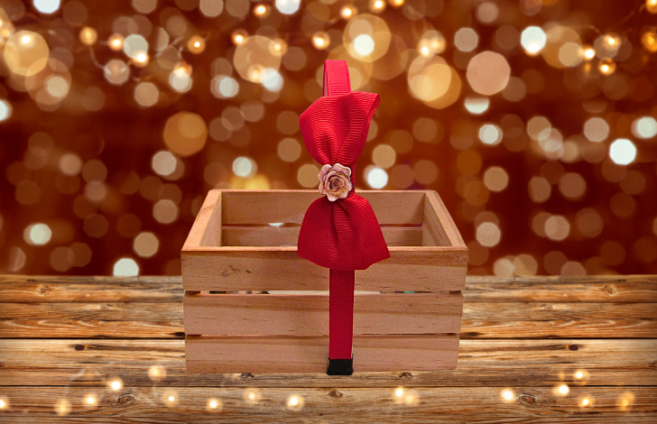 Girls Plastic Headband with MDF Shaped Center