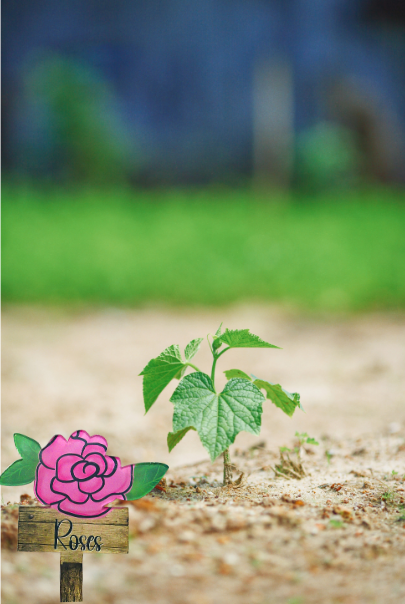 Acrylic-Rose with Sign Shaped Sublimated Plant Stake