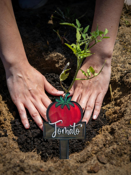 Acrylic-Tomato Shaped Sublimated Plant Stake