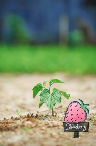 Acrylic- Strawberry Shaped Sublimated Plant Stake