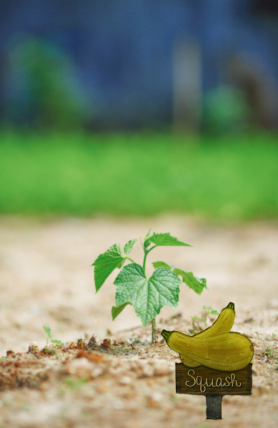 Acrylic- Squash Shaped Sublimated Plant Stake