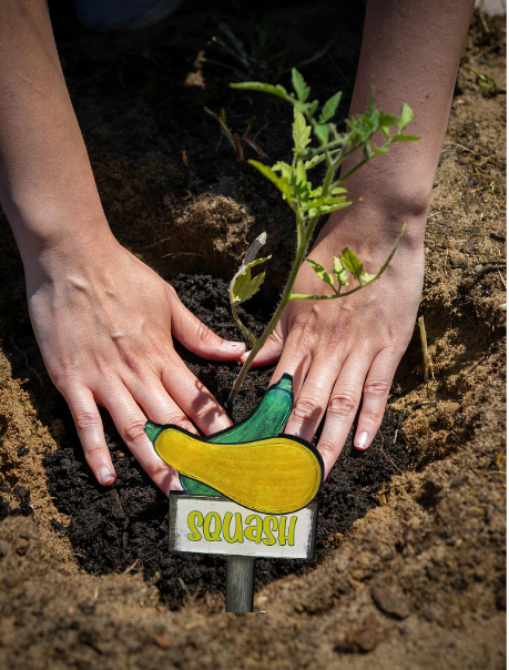 Acrylic- Squash Shaped Sublimated Plant Stake
