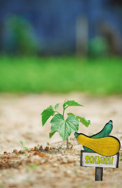 Acrylic- Squash Shaped Sublimated Plant Stake