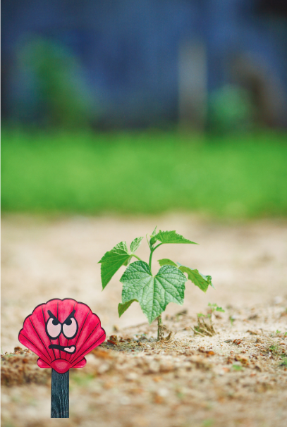 Acrylic-Shell Shaped Sublimated Plant Stake