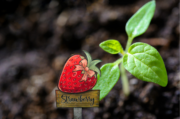 Acrylic- Strawberry Shaped Sublimated Plant Stake