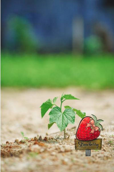 Acrylic- Strawberry Shaped Sublimated Plant Stake