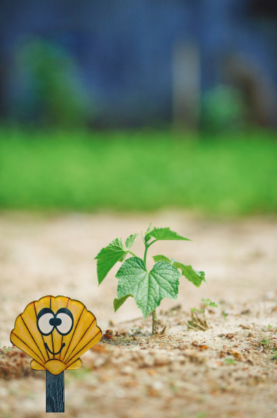 Acrylic-Shell Shaped Sublimated Plant Stake