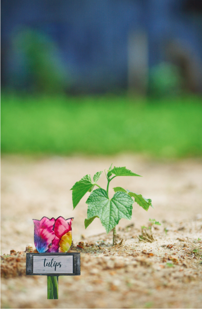 Acrylic-Tulip with Sign Shaped Sublimated Plant Stake