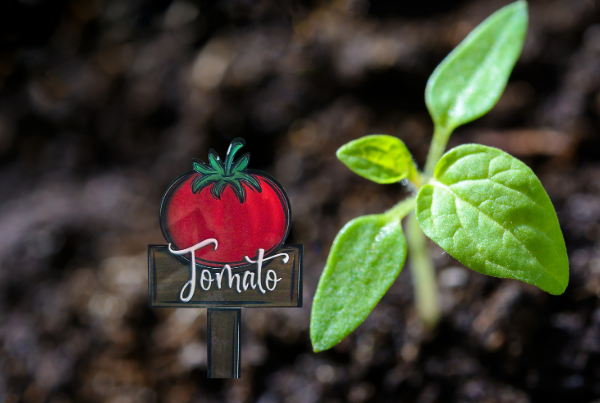 Acrylic-Tomato Shaped Sublimated Plant Stake