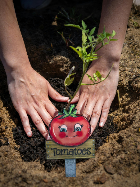 Acrylic-Tomato Shaped Sublimated Plant Stake