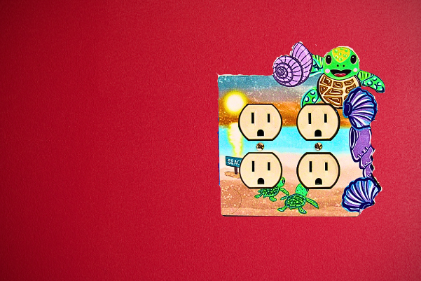 Turtle with shells Shaped Sublimated Double Outlet Cover