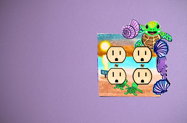 Turtle with shells Shaped Sublimated Double Outlet Cover