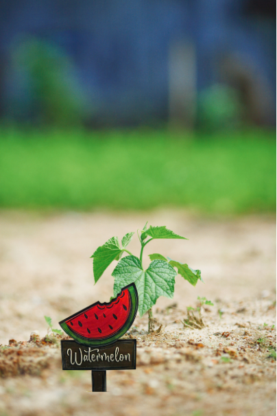 Acrylic- Watermelon Shaped Sublimated Plant Stake