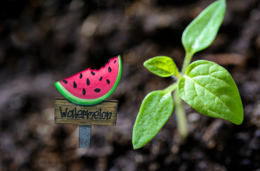 Acrylic- Watermelon Shaped Sublimated Plant Stake