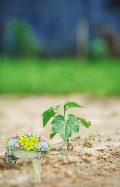 Acrylic-Wheelbarrow Shaped Sublimated Plant Stake