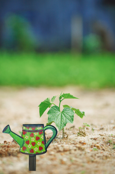 Acrylic-Watering can Shaped Sublimated Plant Stake